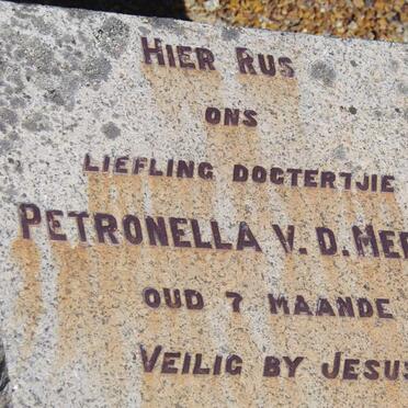MERWE Petronella, v.d.