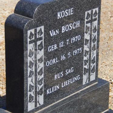 BOSCH Kosie, van 1970-1975