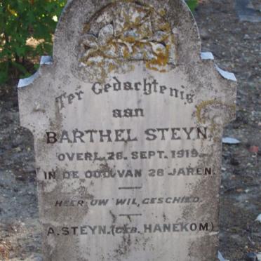 STEYN Barthel -1919