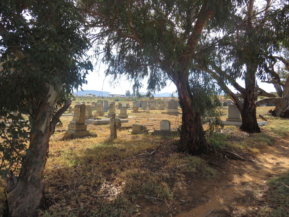 2. Overview / Oorsig