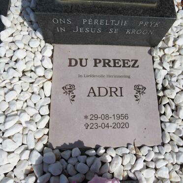 PREEZ Adri, du 1956-2020 :: DU PREEZ 1984-1984 _2