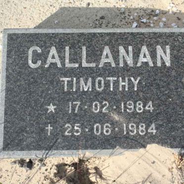 CALLANAN Timothy 1984-1984
