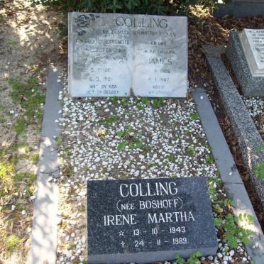 COLLING James 1905-1987 &amp; Johanna 190?-1981 :: COLLING Irene Martha nee BOSHOFF 1943-1989