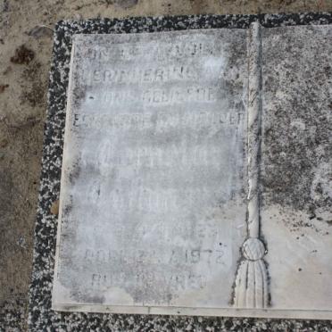 HEERDEN Cornelia Catharina, van  1923-1972