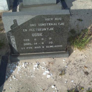 WALTERS Ossie 1971-1973