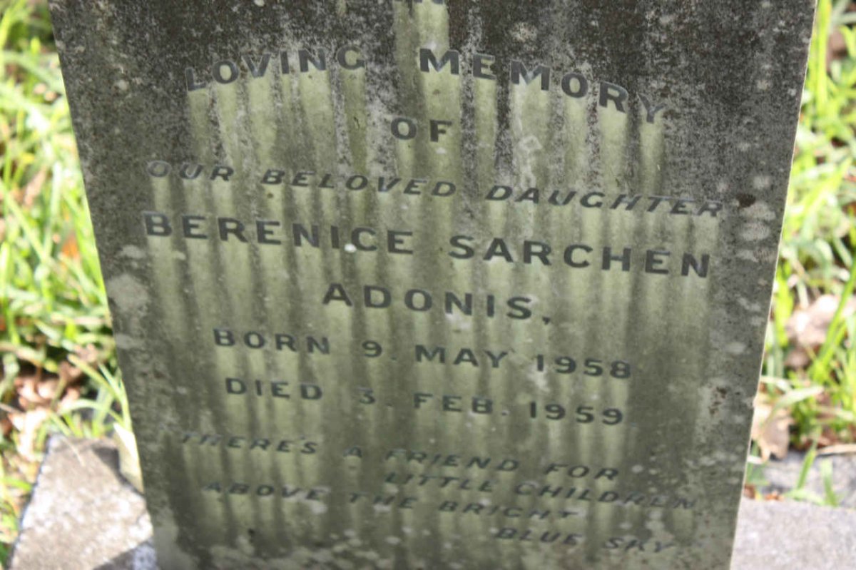ADONIS Berenice Sarchen 1958-1959
