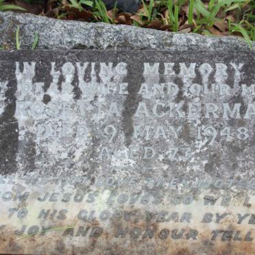 ACKERMAN Rosetta -1948