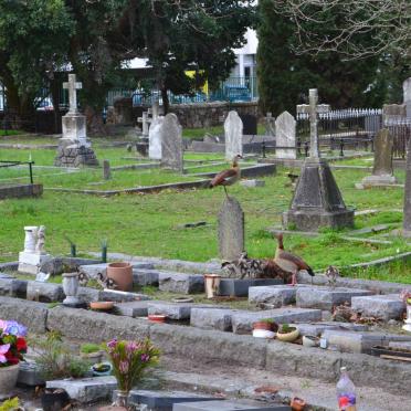 4. Overview / Oorsig