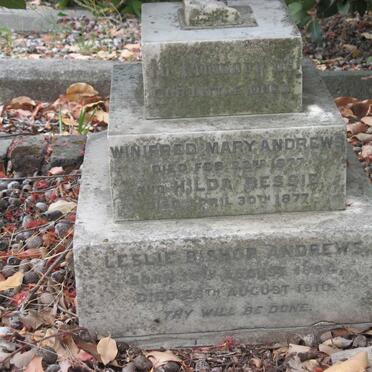 ANDREWS Winifred Mary -1877 :: ANDREWS Hilda Bessie -1877 :: ANDREWS Leslie Bishop 1882-1910