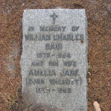 BAIN William Charles 1873-1954 &amp; Amelia Jane WALCOTT 1883-1968