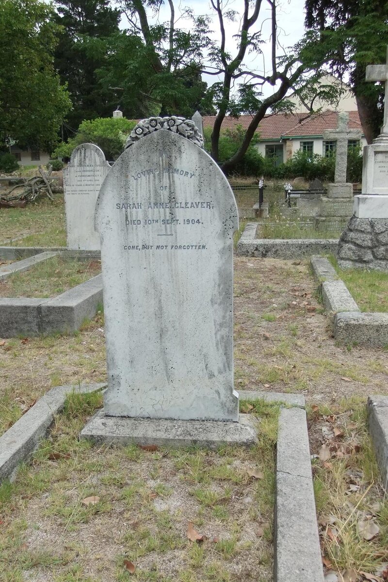 CLEAVER Sarah Anne -1904