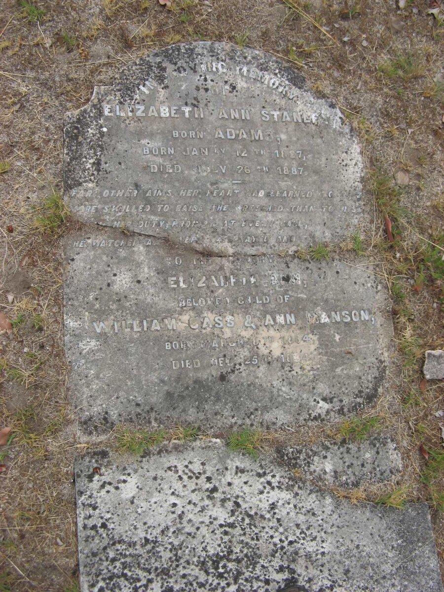 STANLEY Elizabeth Ann nee ADAMS 1827-1887 :: MANSON Elizabeth Ann 1884-1884