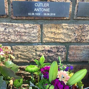 C - Surnames :: Vanne - C