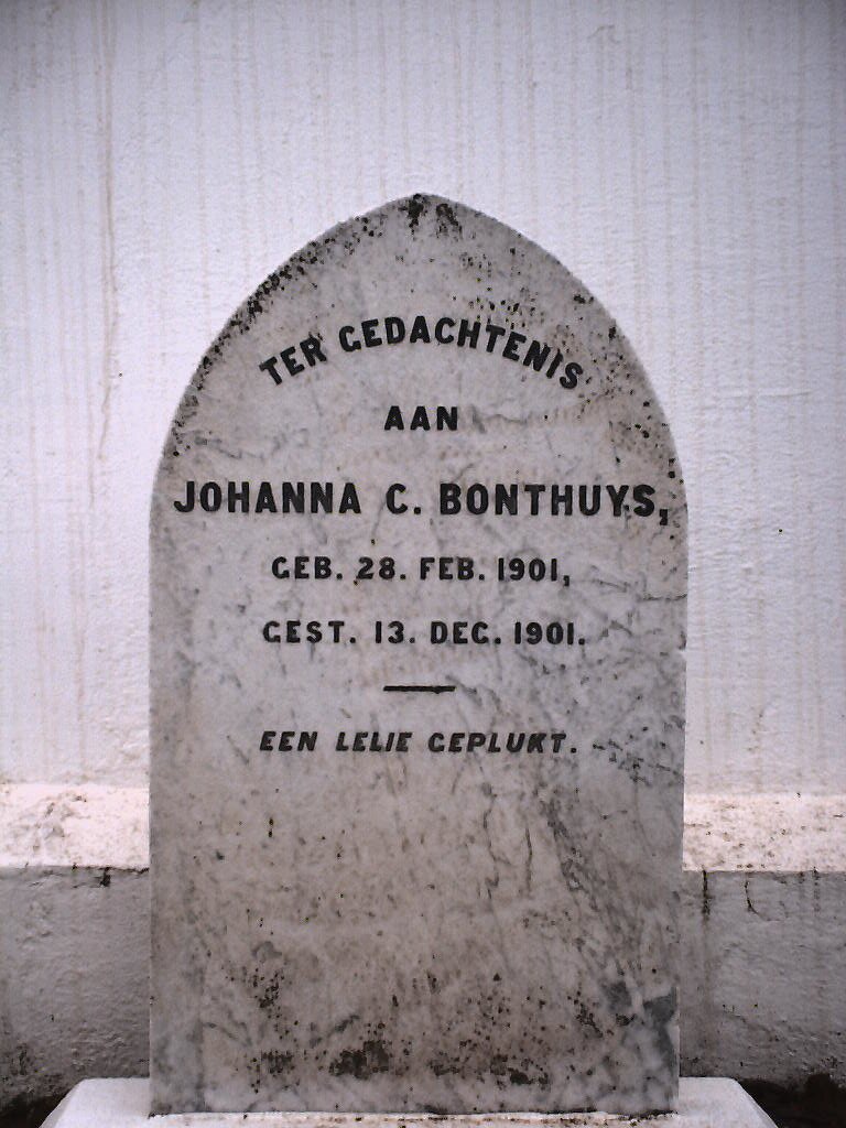 BONTHUYS Johanna C. 1901-1901
