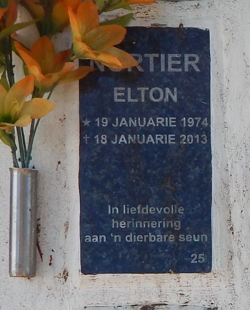 NORTIER Elton 1974-2013