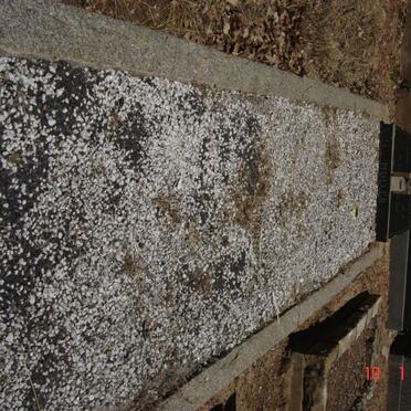 MULLER John 1917-1964 :: MULLER John 1944-1971