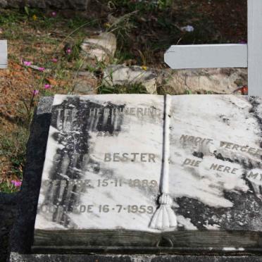 BESTER Cato 1889-1959