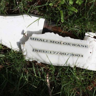 MOLOKWANE Mbali -2004
