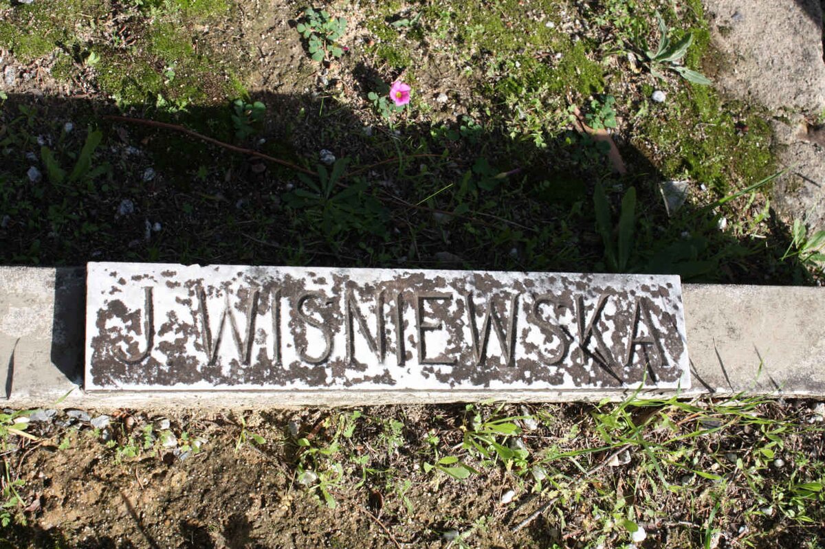 WISNIEWSKA J.