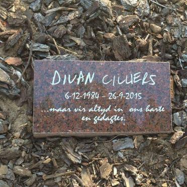 CILLIERS Divan 1984-2015