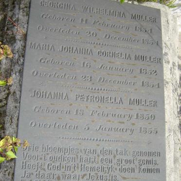 MULLER Georgina Wilhelmina 1854-1854 :: MULLER Maria Johanna Cornelia 1852-1854 :: MULLER Johanna Petronella 1850-1855