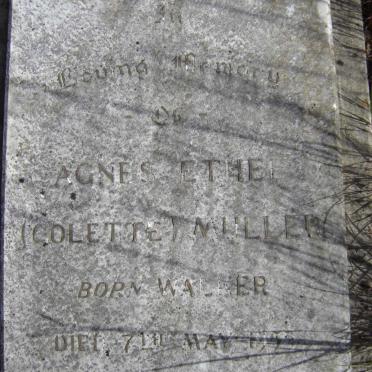 Western Cape, CAPE TOWN, Mowbray