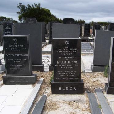 FREEDMAN Evelyn -1991