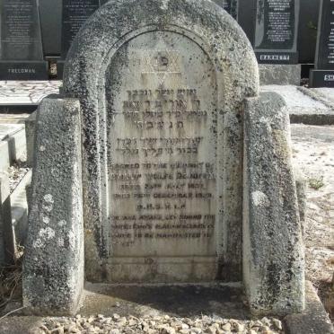 JONGH Phillip Wolfe, de 1857-19?9