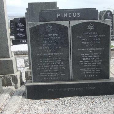 P - Vanne :: Surnames - P