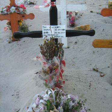 CILLIERS Joy 1980-2010 