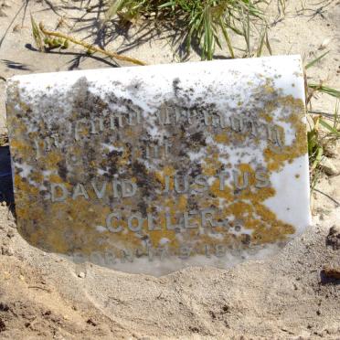 COLLER David Justus 1855-