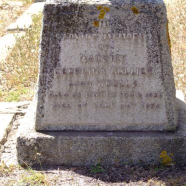 COLLIER Harriet Georgina nee WOOLLS 1838-1920