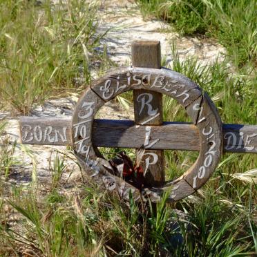 DIRKSE Elisabeth 1945-2001