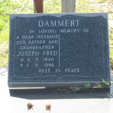 DAMMERT Joseph Fred 1940-1996