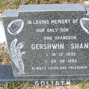GOLIATH Gershwin Shane 1992-1993