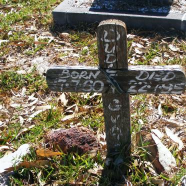 ROOYEN Dudley G., van 1960-1995