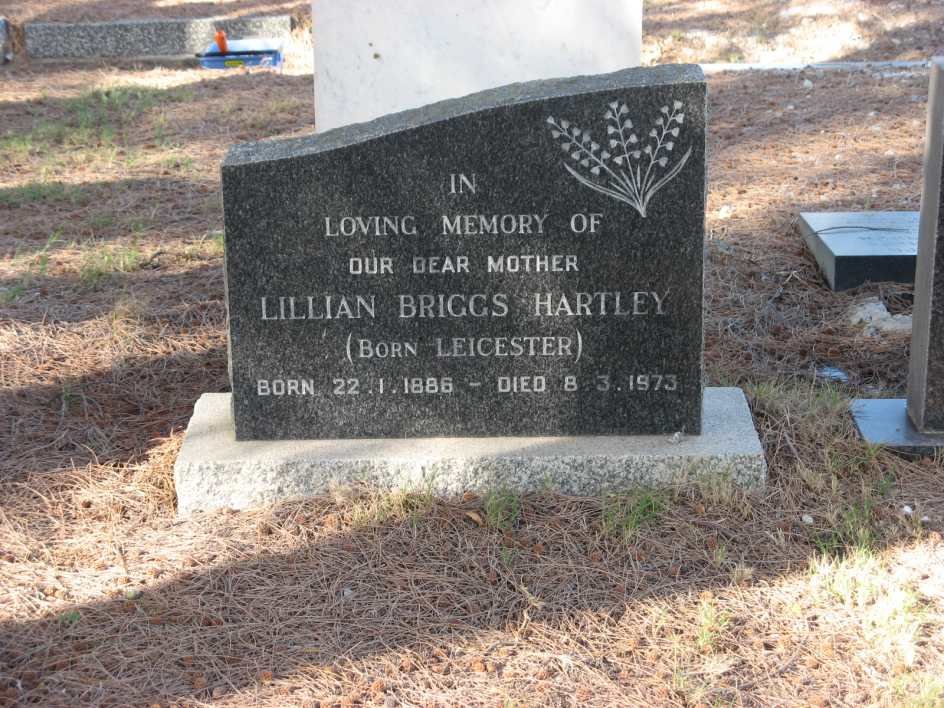 HARTLEY Lillian Briggs nee LEICESTER 1886-1973