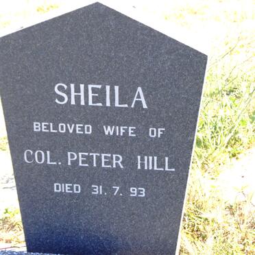 HILL Peter Leonard Arthur 1904-1995 &amp; Sheila -1993 :: HILL David A.A. 1943-1998