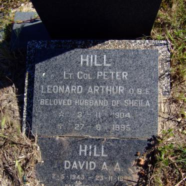 HILL Peter Leonard Arthur 1904-1995 &amp; Sheila -1993 :: HILL David A.A. 1943-1998