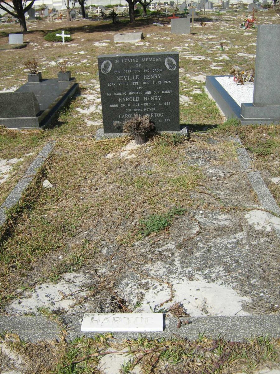 HARTOG Neville Henry 1939-1975 :: HARTOG Harold Henry 1908-1982 :: HARTOG Caroline ?-1995