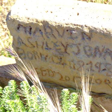 JONAS Marvin Ashley 1985-2000