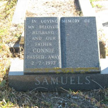 SAMUELS Connie -1977