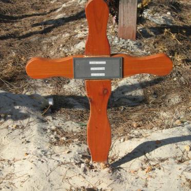 SEEGERS Yvonne 1968-2009