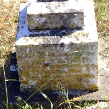 T? Winifred Mary 19?4