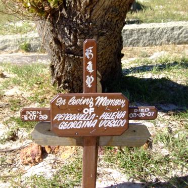 VOSLOO Petronella Helena Georgina 1939-2007