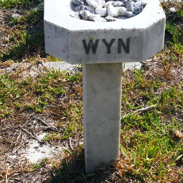 WYN