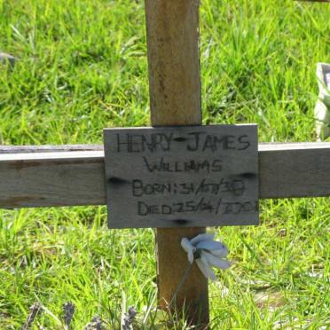 WILLIAMS Henry-James 1930-2001