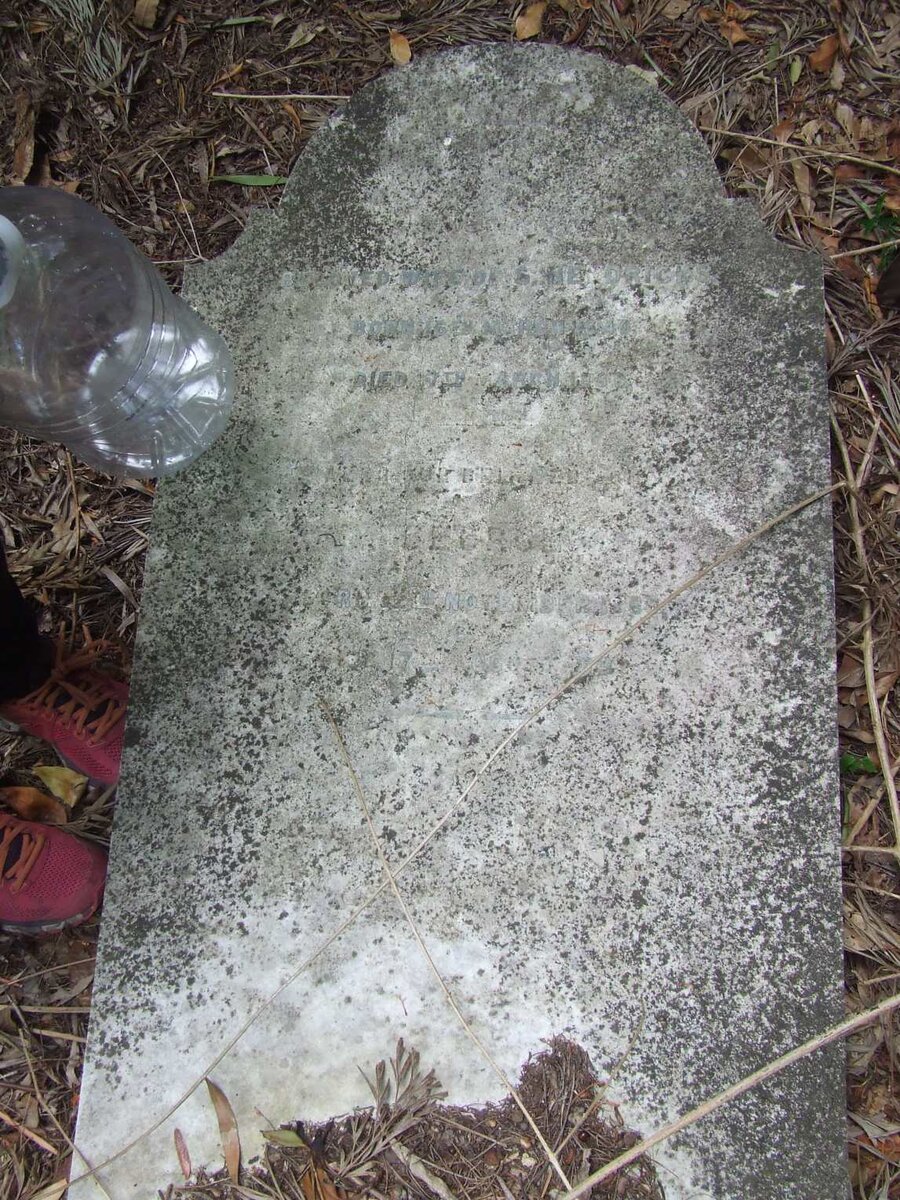 HENDRICKS Mary 1840-18?8 :: HENDRICKS George -1893