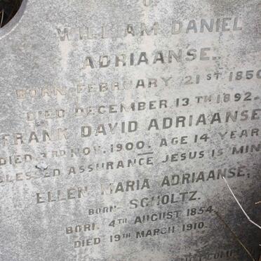 ADRIAANSE William Daniel 1850-1892 &amp; Ellen Maria SCHOLTZ 1854-1910 :: ADRIAANSE Frank David -1900