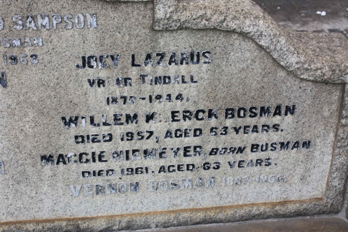 BOSMAN :: LAZARUS :: NIEMEYER